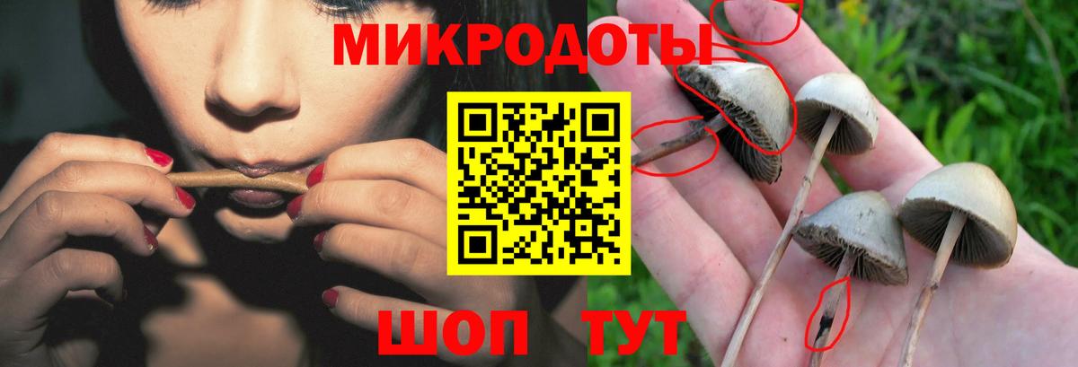 Псилоцибиновые грибы мицелий  Вход с VPN  Лангепас 